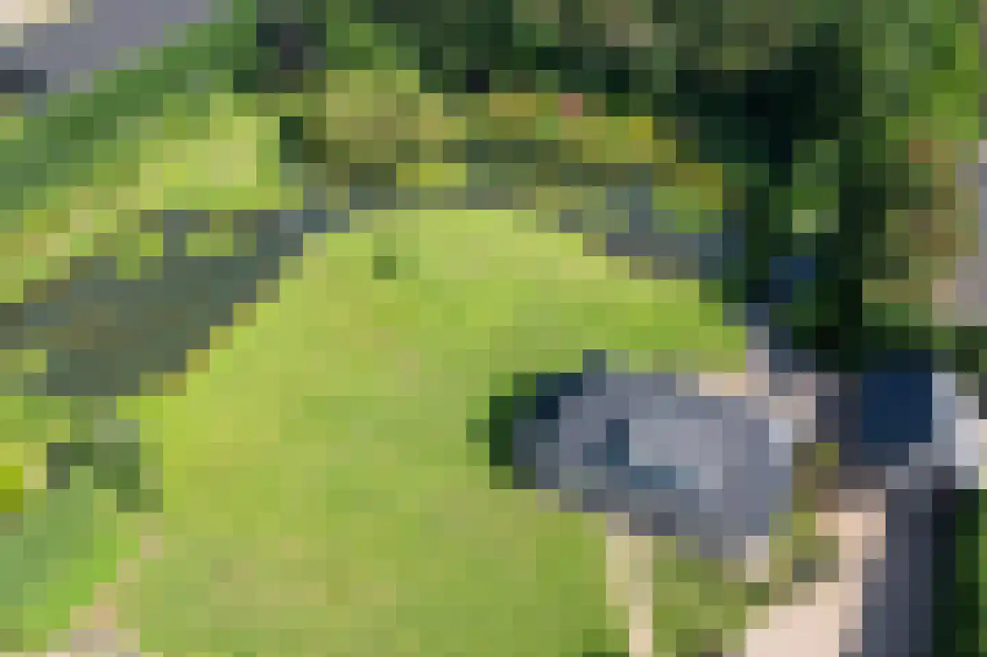 Koekamperweg 16 Putten thumbnail 50