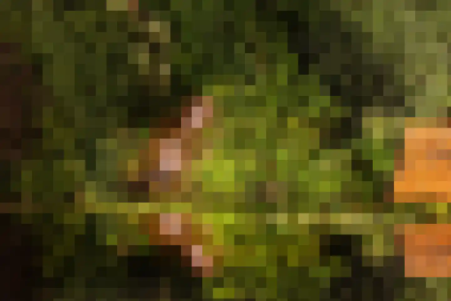 Koekamperweg 16 Putten thumbnail 52