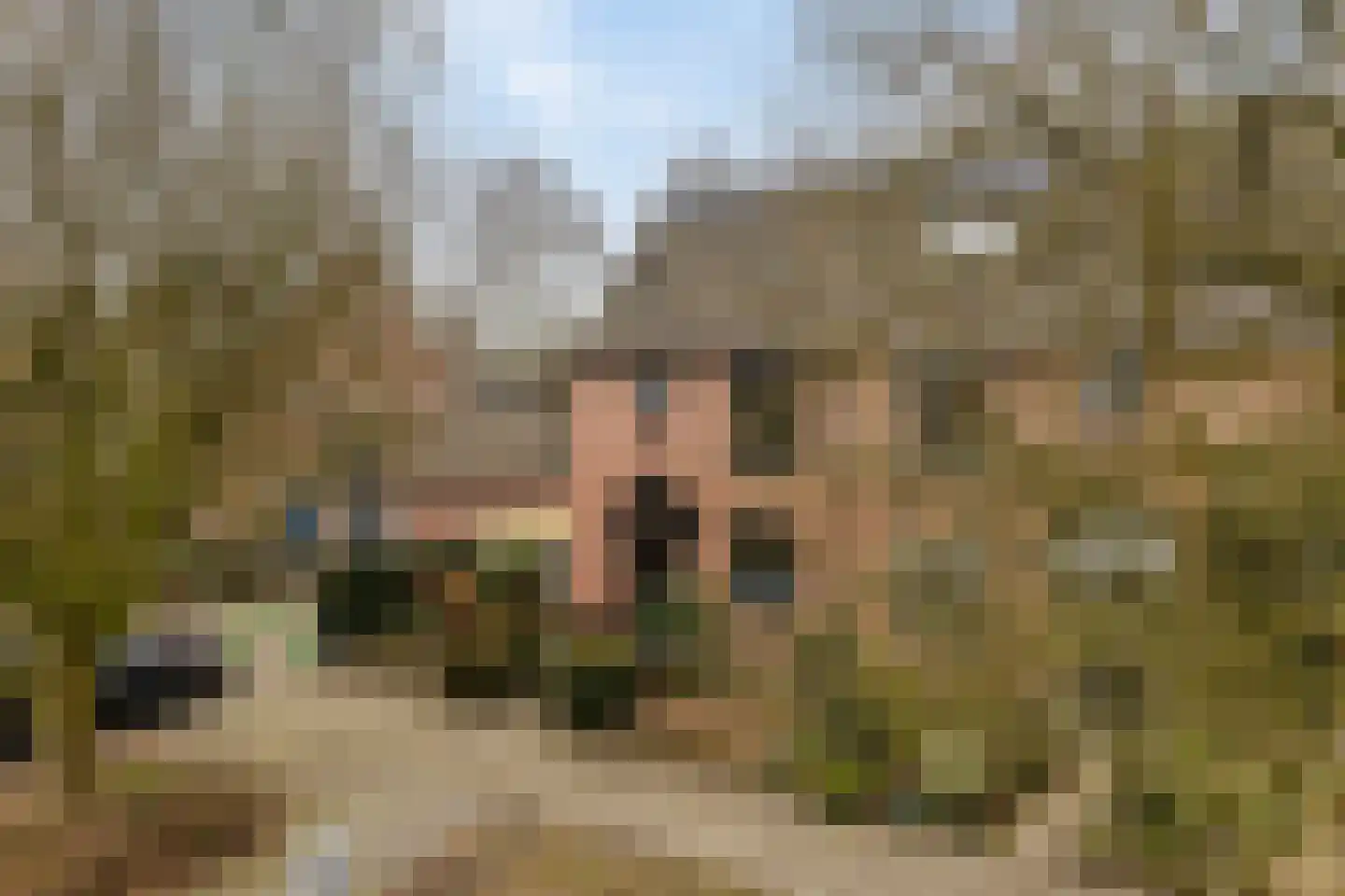 Koekampstede 21 Vaassen