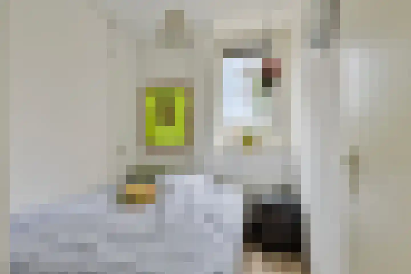Koekampstede 21 Vaassen thumbnail 16