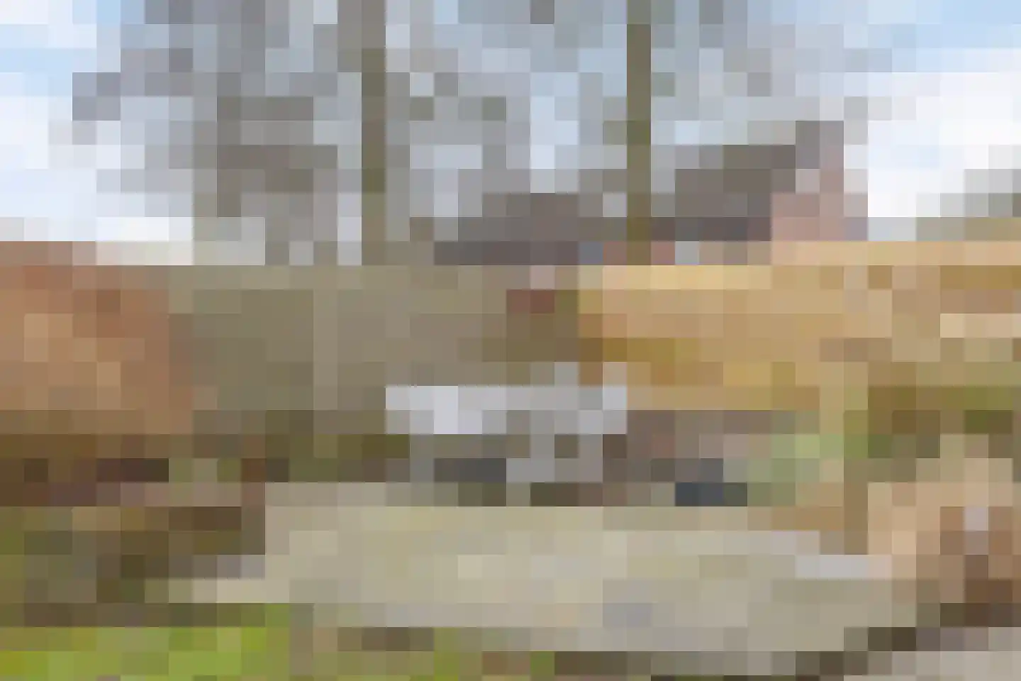 Koekampstede 21 Vaassen thumbnail 22