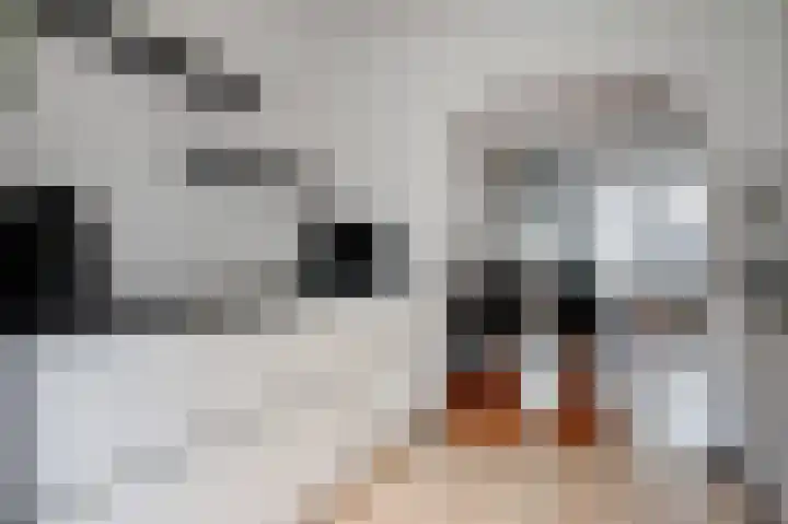 Koekampstede 37 Vaassen thumbnail 12