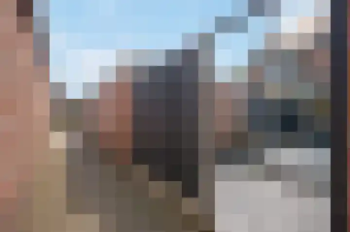 Koekampstede 37 Vaassen thumbnail 31