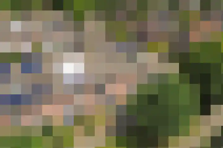 Koekampstede 37 Vaassen thumbnail 38