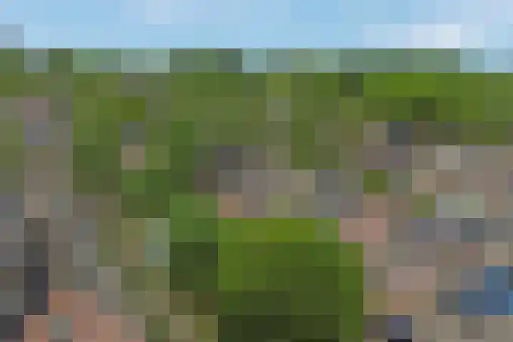 Koekampstede 37 Vaassen thumbnail 39