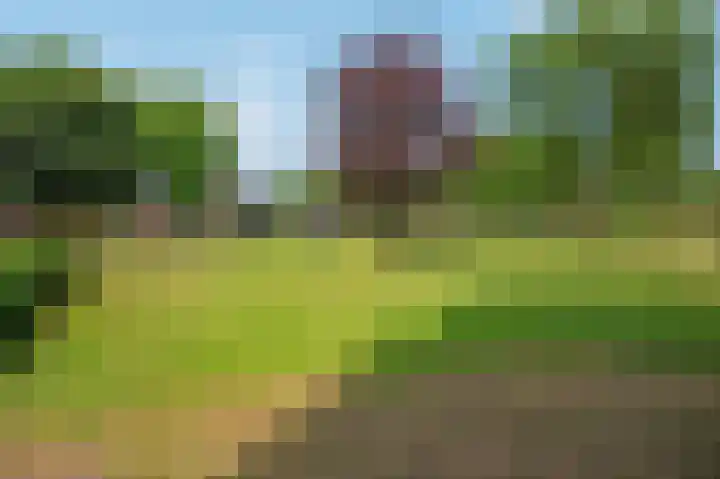 Koekampstede 37 Vaassen thumbnail 40