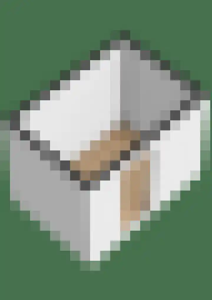 Koekampstede 37 Vaassen thumbnail 48