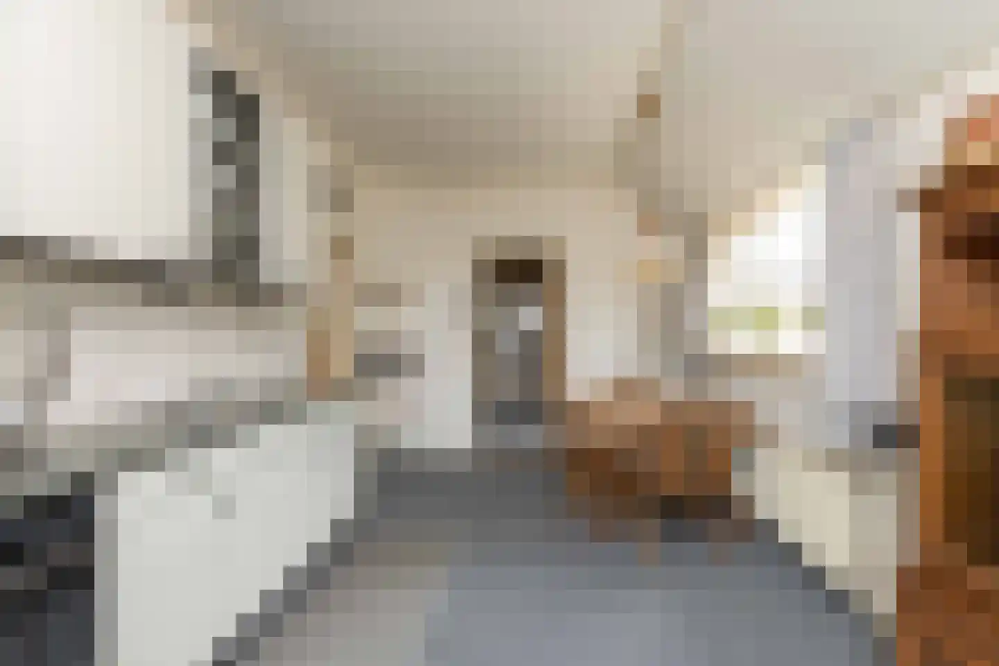 Koekanger Dwarsdijk 24 Koekange thumbnail 13