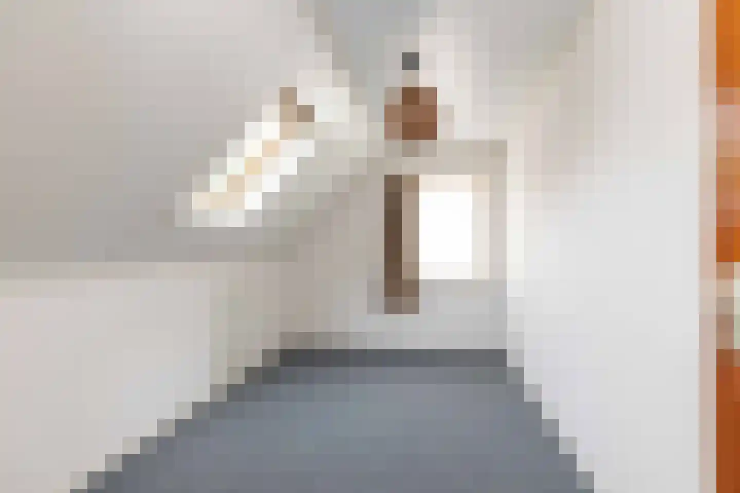 Koekanger Dwarsdijk 24 Koekange thumbnail 33