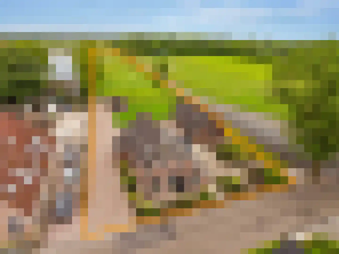 Koekanger Dwarsdijk 24 Koekange thumbnail 4