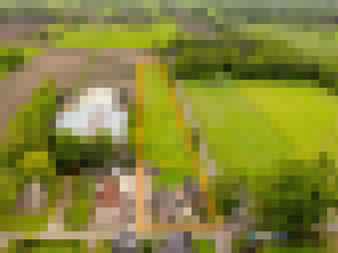 Koekanger Dwarsdijk 24 Koekange thumbnail 41