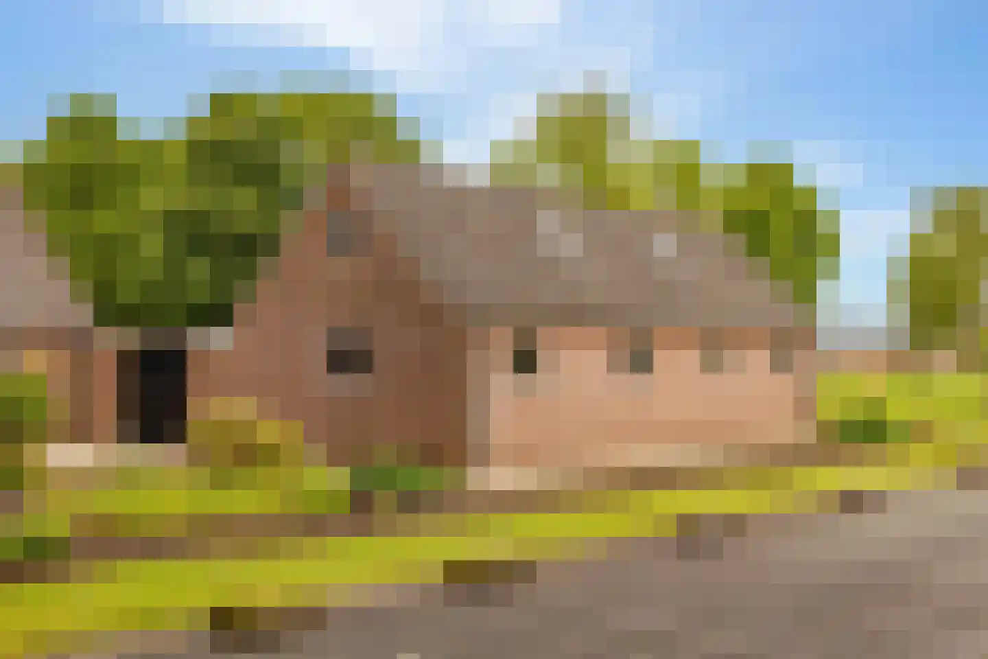 Koekanger Dwarsdijk 24 Koekange thumbnail 44