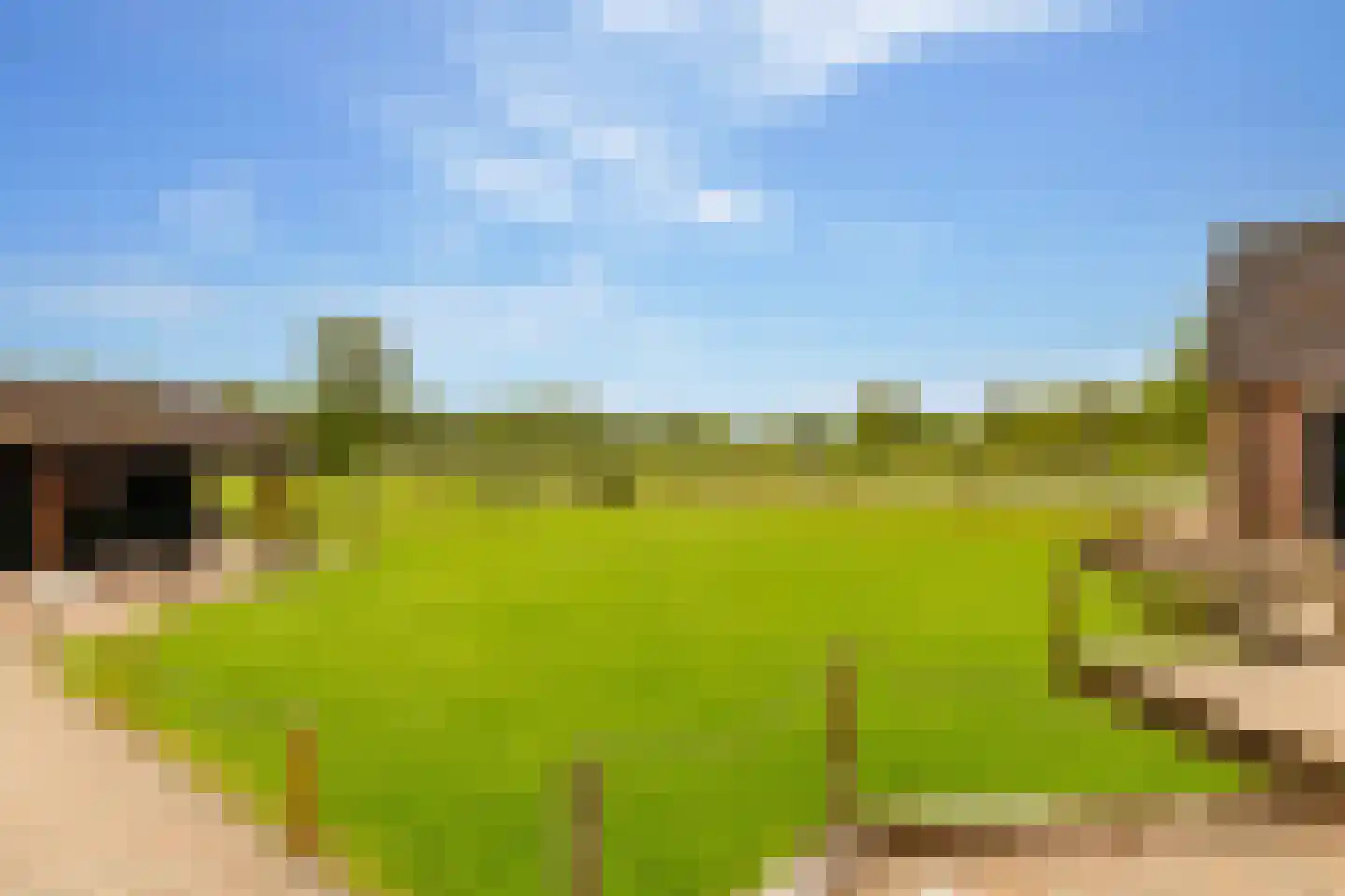 Koekanger Dwarsdijk 24 Koekange thumbnail 55