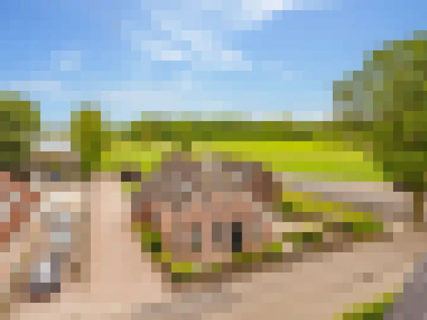 Koekanger Dwarsdijk 24 Koekange thumbnail 69