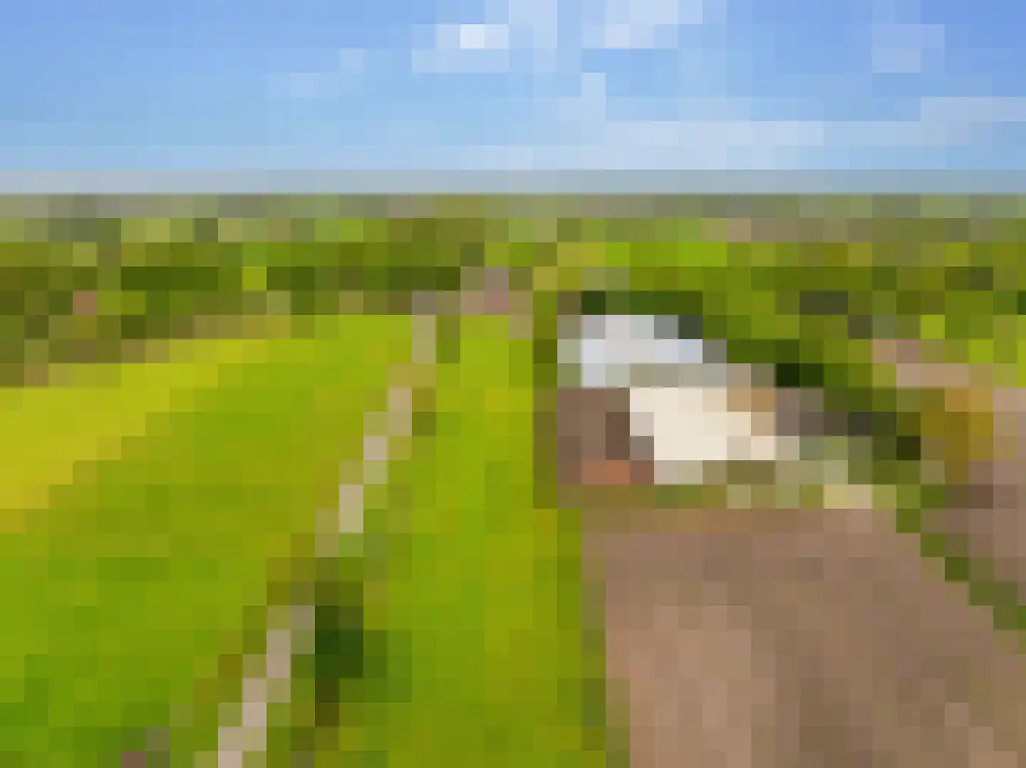 Koekanger Dwarsdijk 24 Koekange thumbnail 70