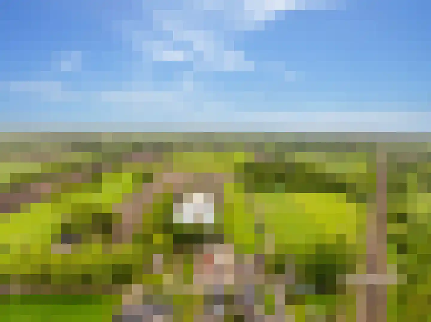 Koekanger Dwarsdijk 24 Koekange thumbnail 73