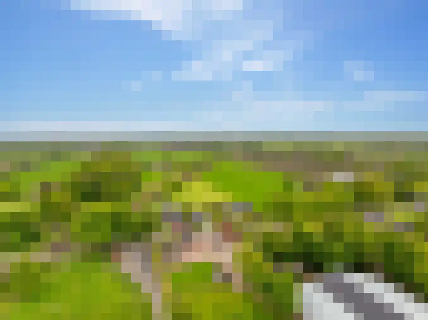 Koekanger Dwarsdijk 24 Koekange thumbnail 74