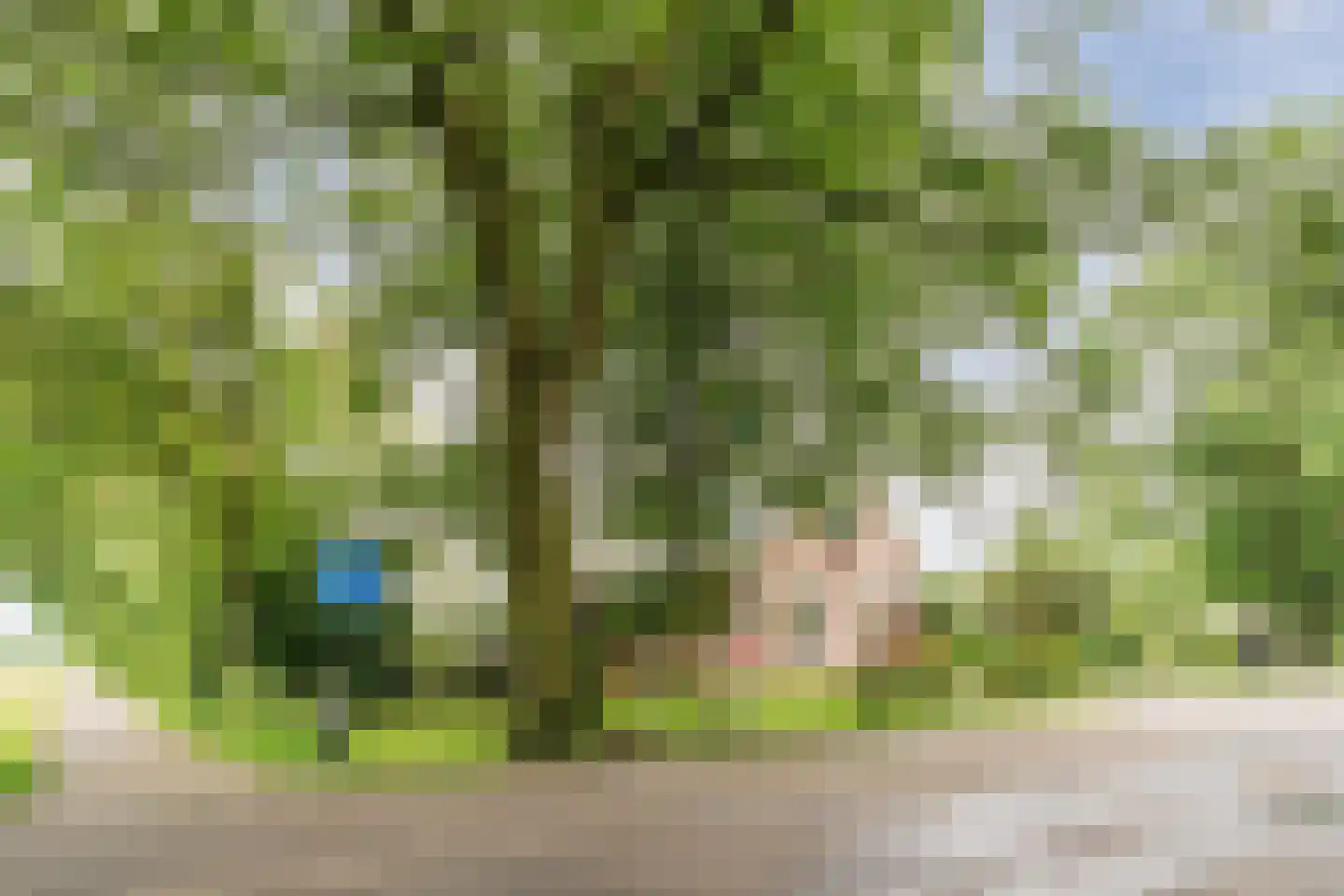 Koekanger Dwarsdijk 49 Koekange thumbnail 5