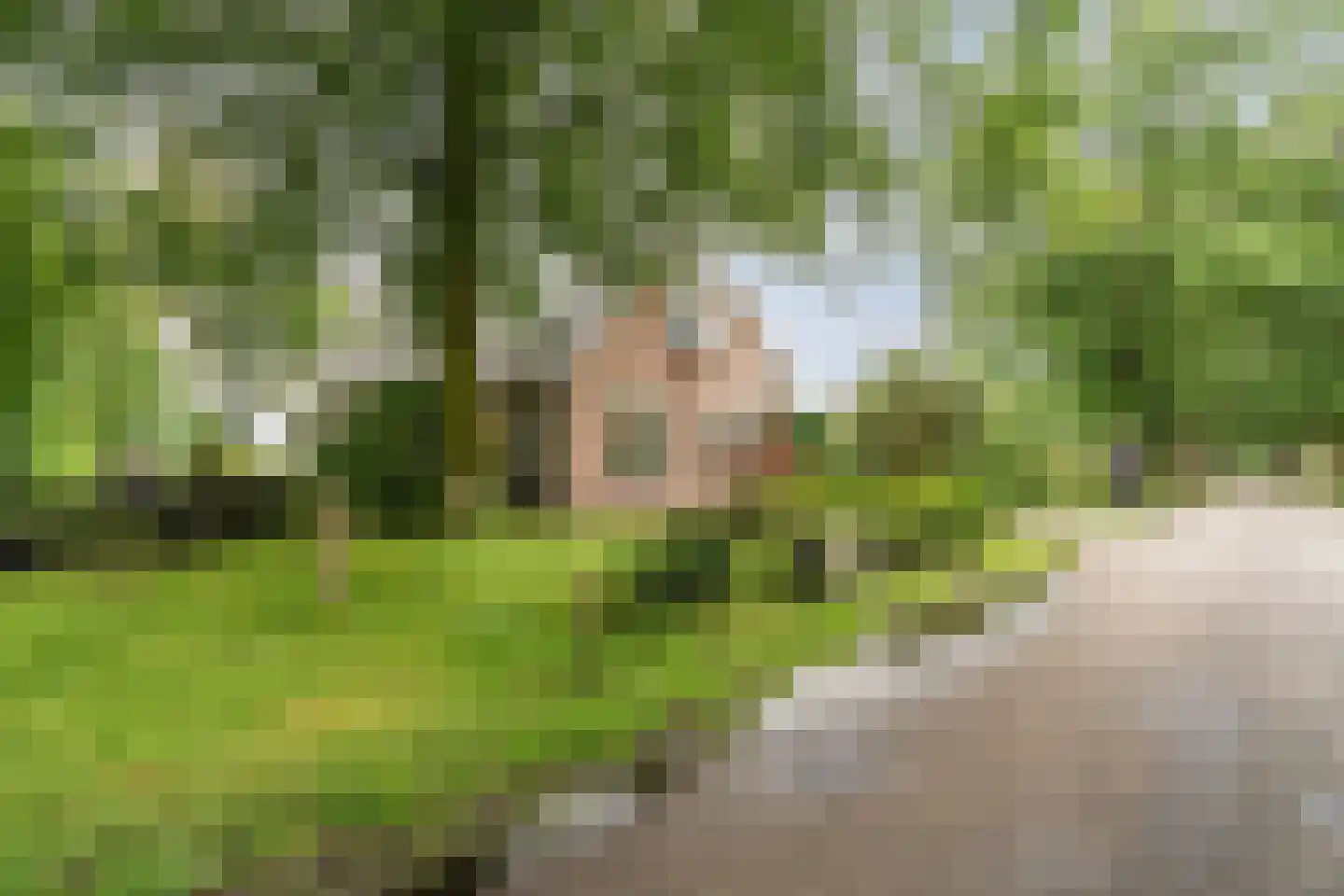Koekanger Dwarsdijk 49 Koekange thumbnail 6