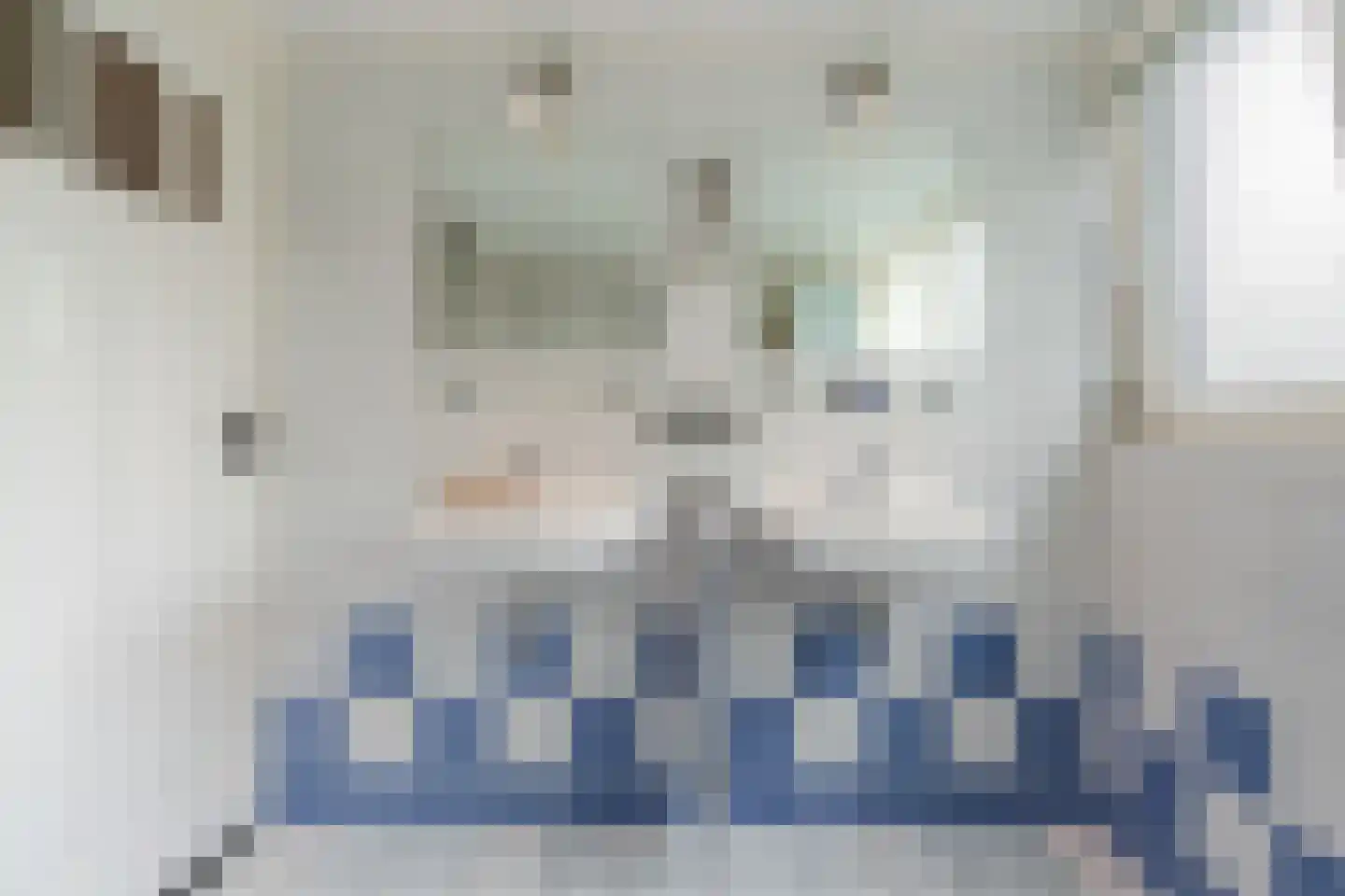 Koekanger Dwarsdijk 49 Koekange thumbnail 62