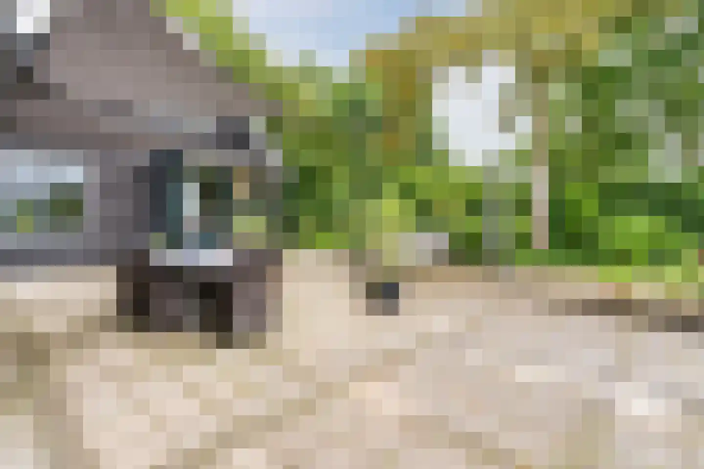 Koekanger Dwarsdijk 49 Koekange thumbnail 74