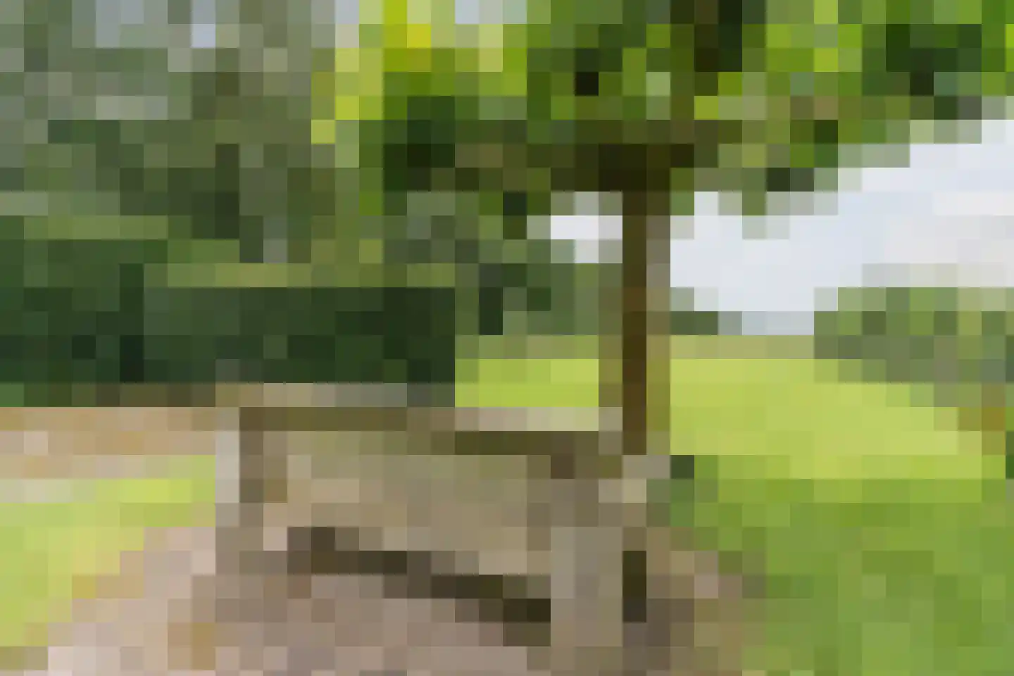 Koekanger Dwarsdijk 49 Koekange thumbnail 76