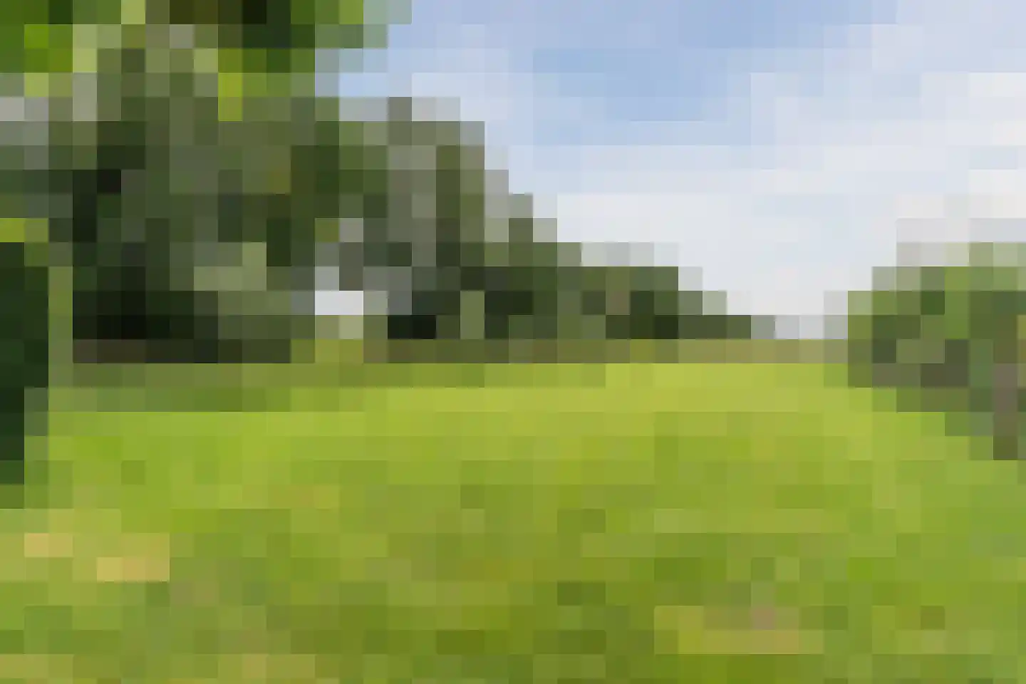 Koekanger Dwarsdijk 49 Koekange thumbnail 77