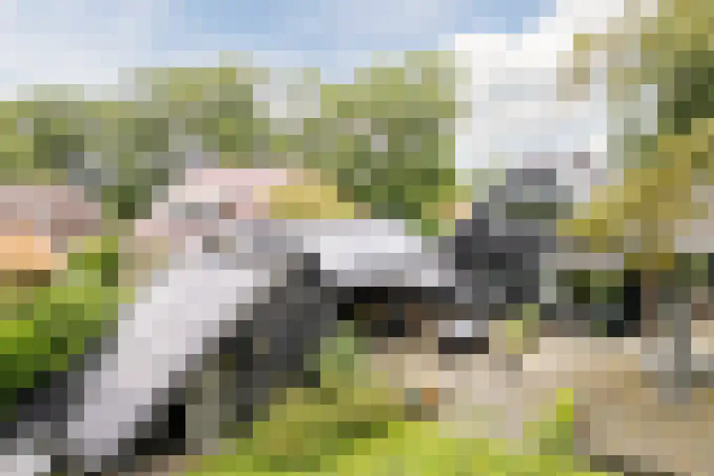 Koekanger Dwarsdijk 49 Koekange thumbnail 82