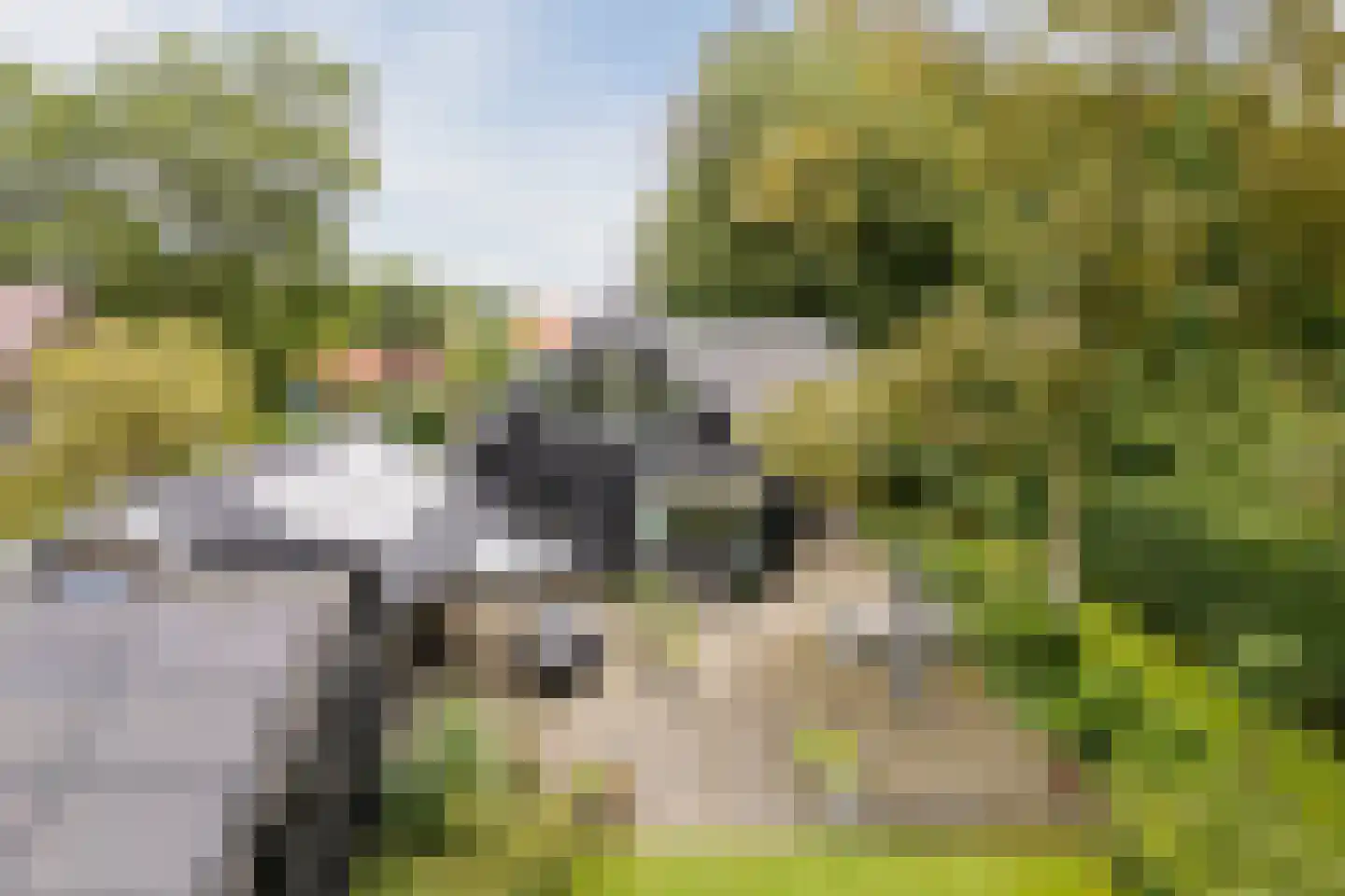 Koekanger Dwarsdijk 49 Koekange thumbnail 83