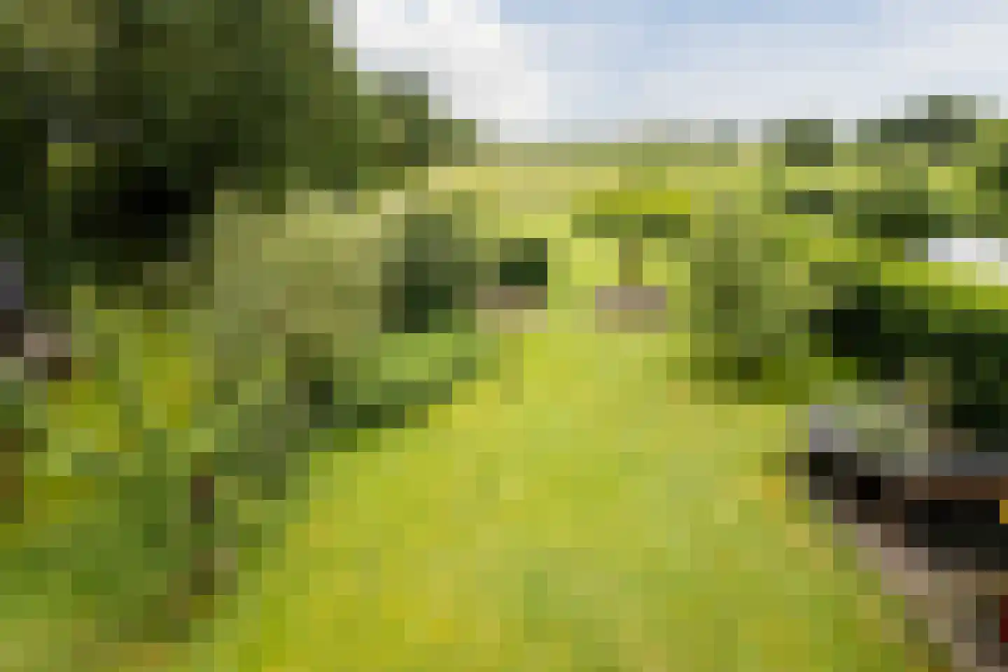 Koekanger Dwarsdijk 49 Koekange thumbnail 84
