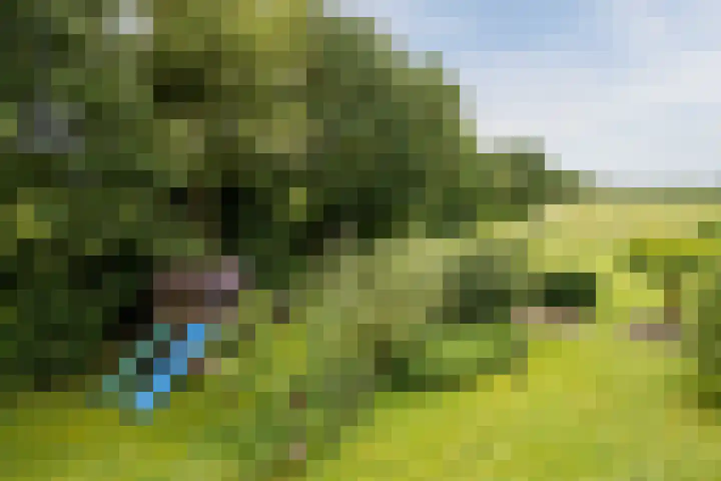 Koekanger Dwarsdijk 49 Koekange thumbnail 85