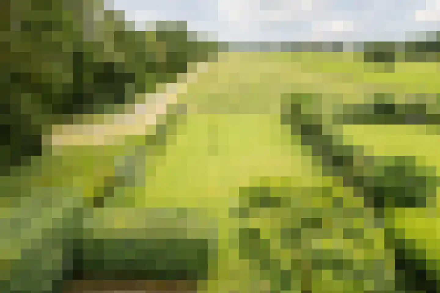 Koekanger Dwarsdijk 49 Koekange thumbnail 86
