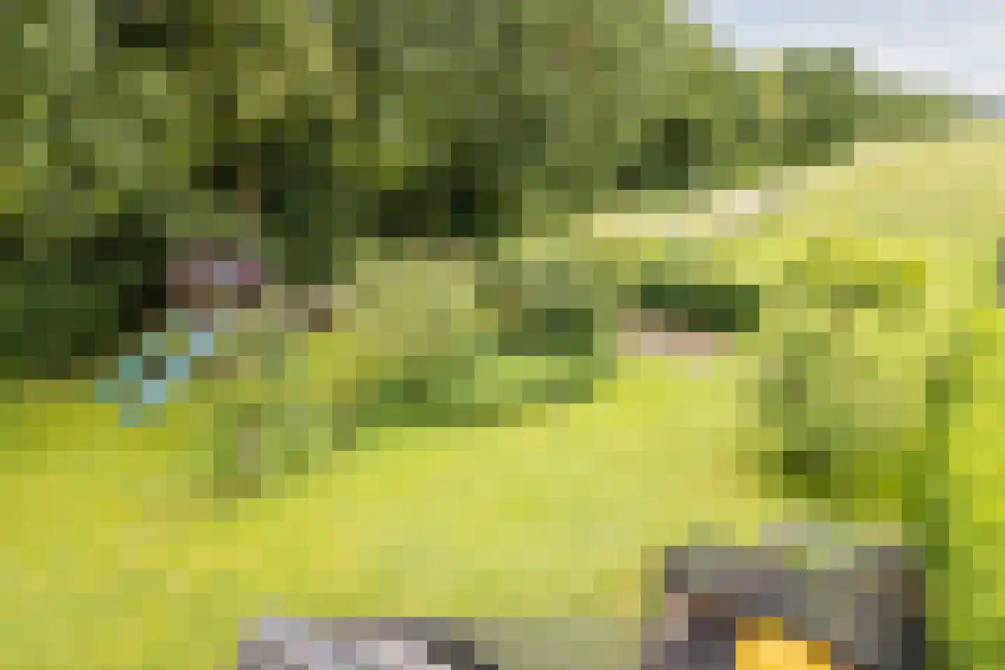 Koekanger Dwarsdijk 49 Koekange thumbnail 87