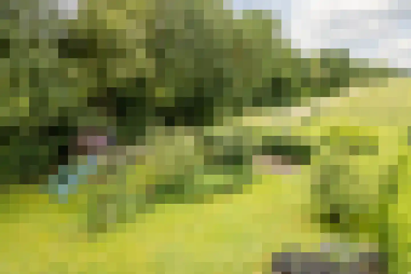 Koekanger Dwarsdijk 49 Koekange thumbnail 88