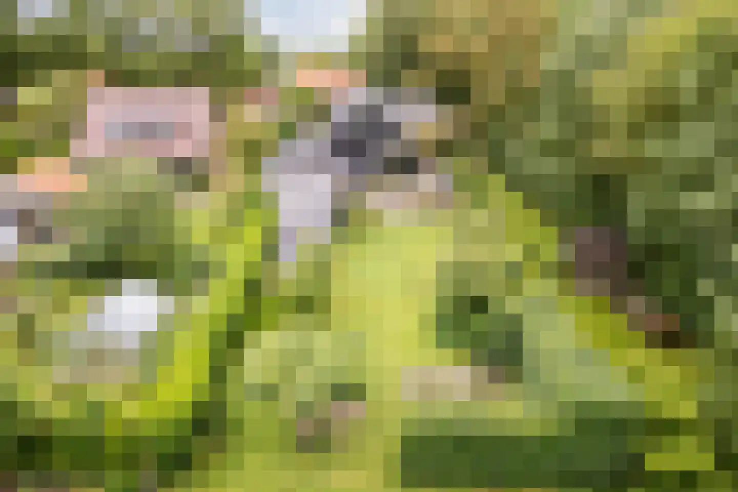 Koekanger Dwarsdijk 49 Koekange thumbnail 91