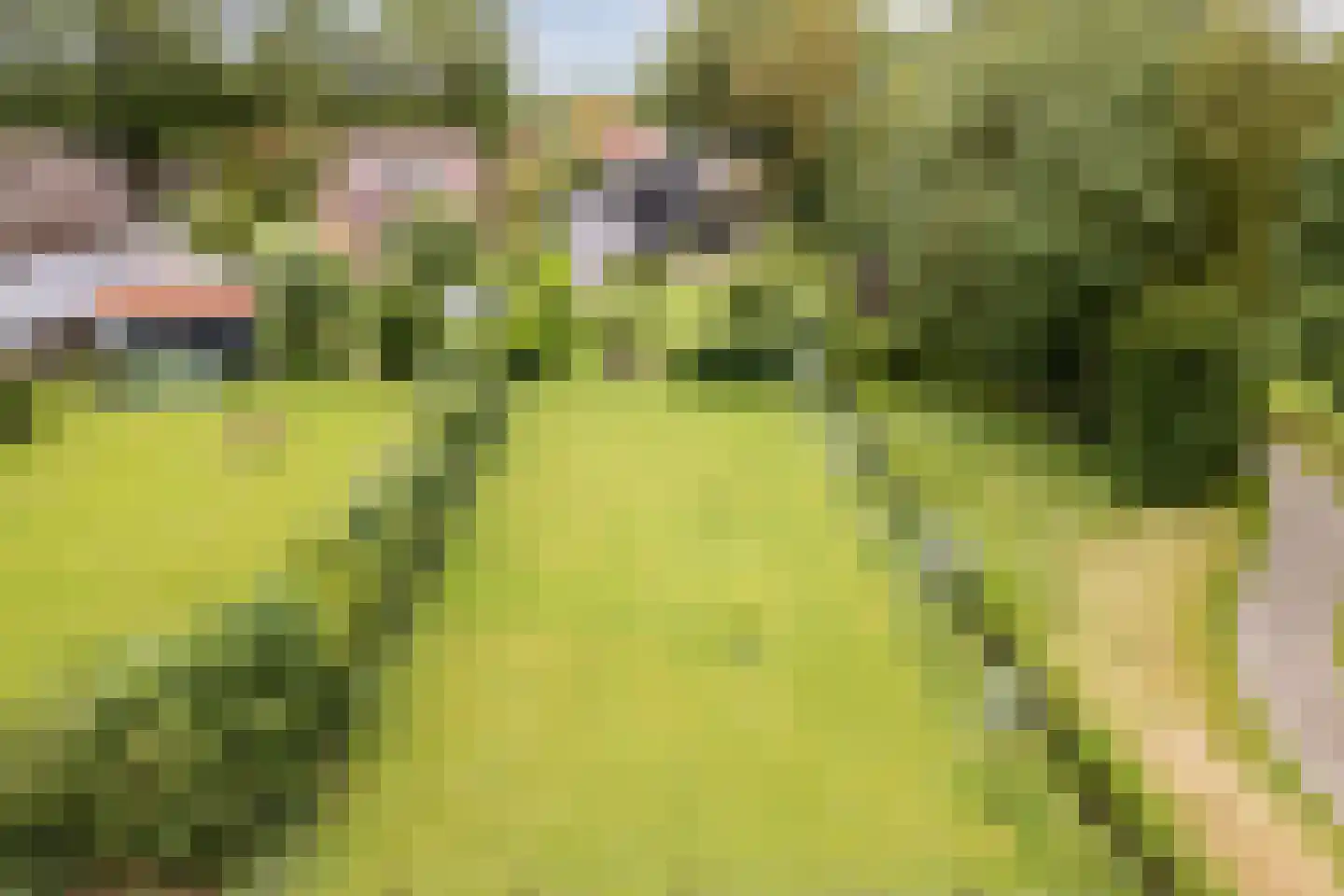 Koekanger Dwarsdijk 49 Koekange thumbnail 92