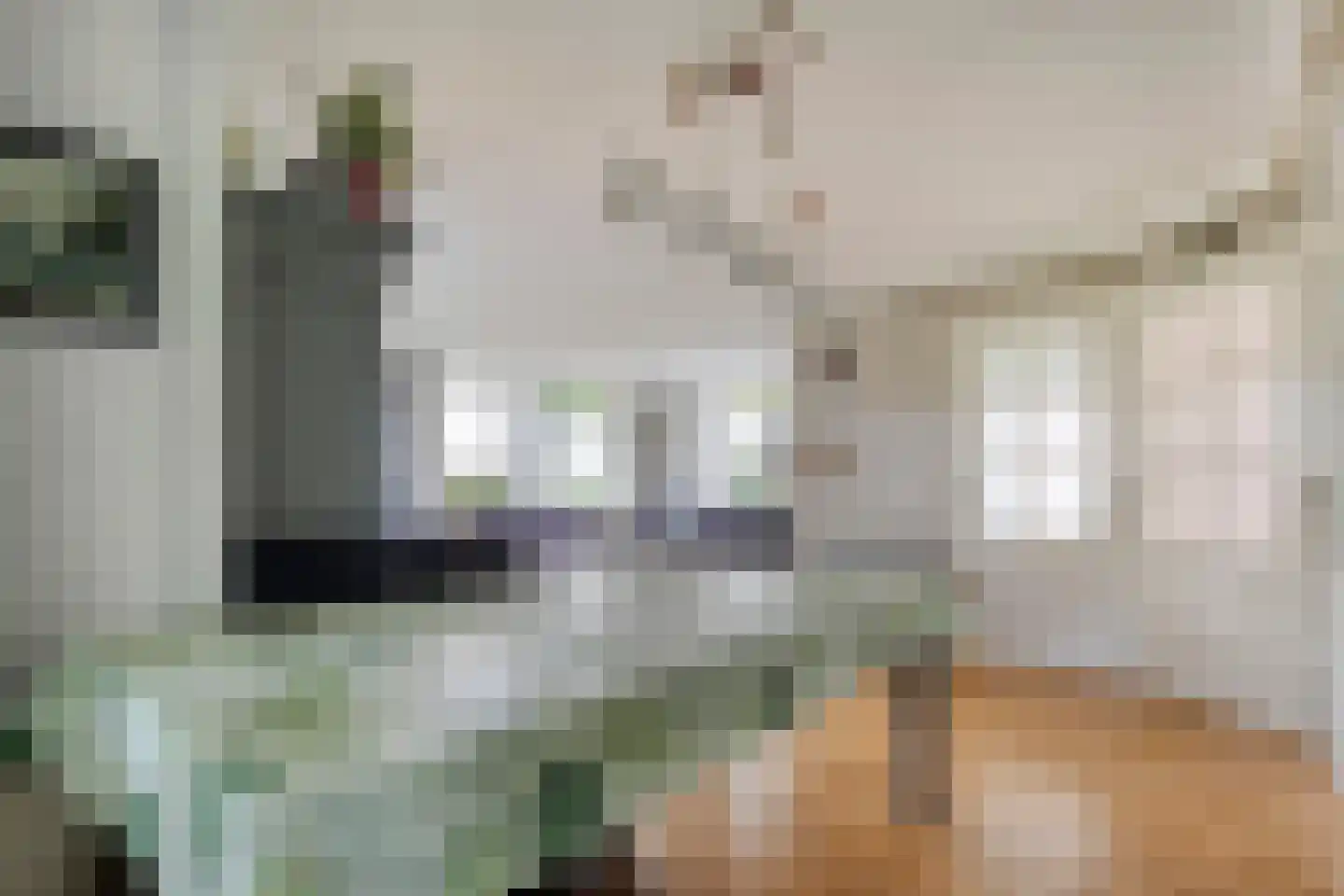 Koekanger Dwarsdijk 55 Koekange thumbnail 17
