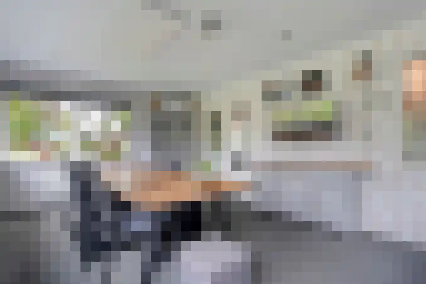 Koekanger Dwarsdijk 55 Koekange thumbnail 21