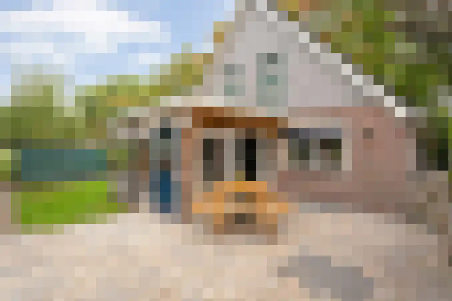 Koekanger Dwarsdijk 55 Koekange thumbnail 43