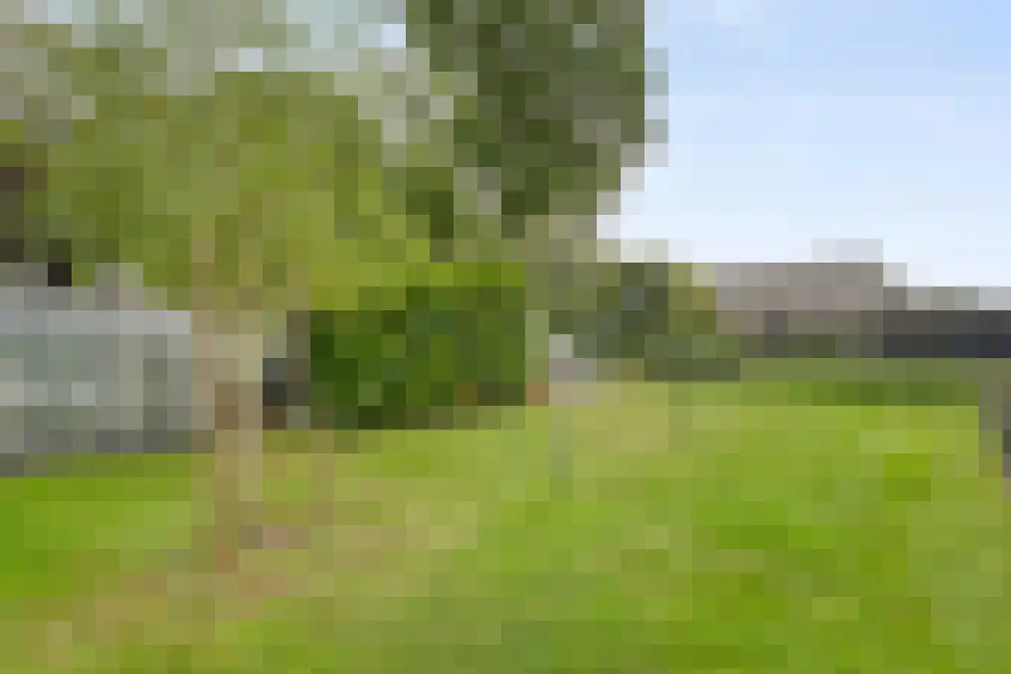 Koekanger Dwarsdijk 55 Koekange thumbnail 48