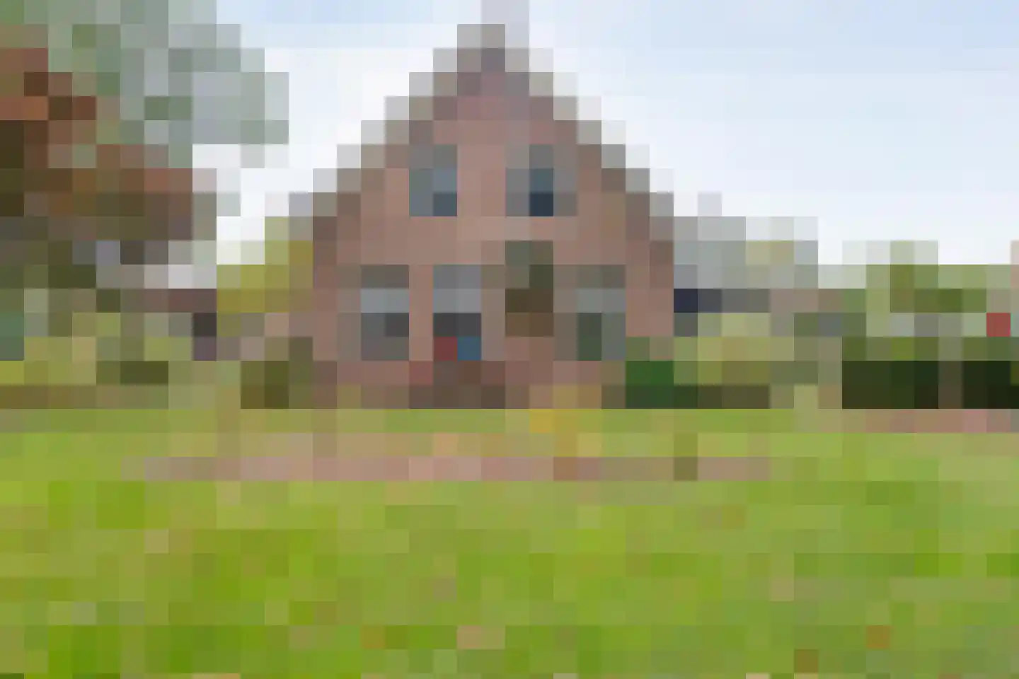 Koekanger Dwarsdijk 55 Koekange thumbnail 52