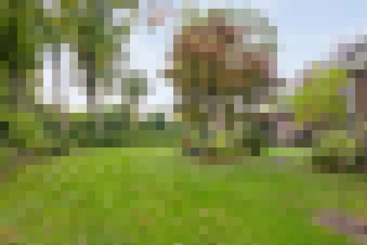 Koekanger Dwarsdijk 55 Koekange thumbnail 54