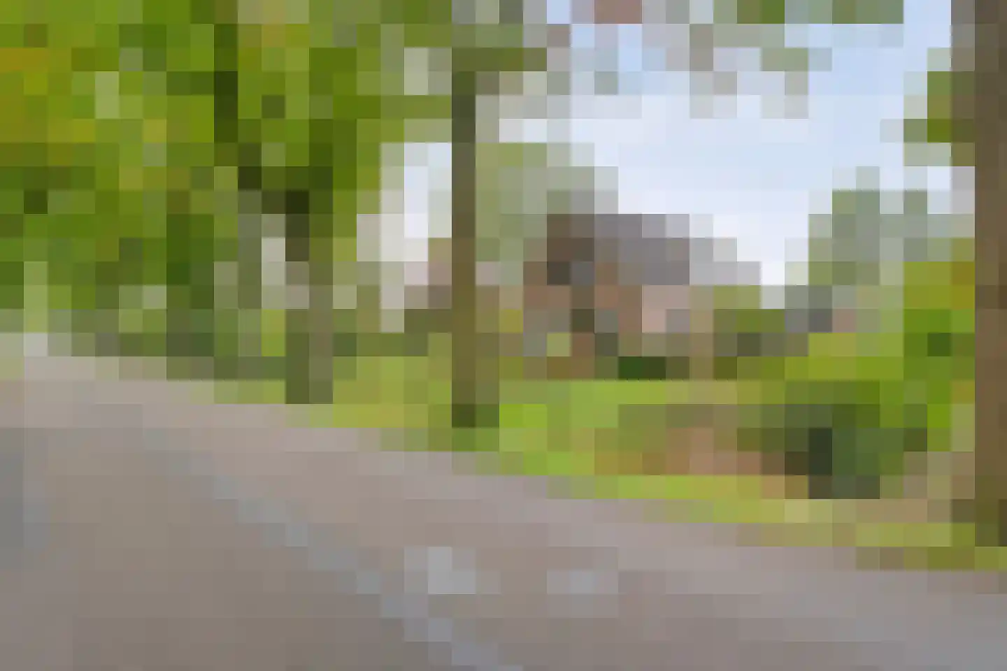 Koekanger Dwarsdijk 55 Koekange thumbnail 57