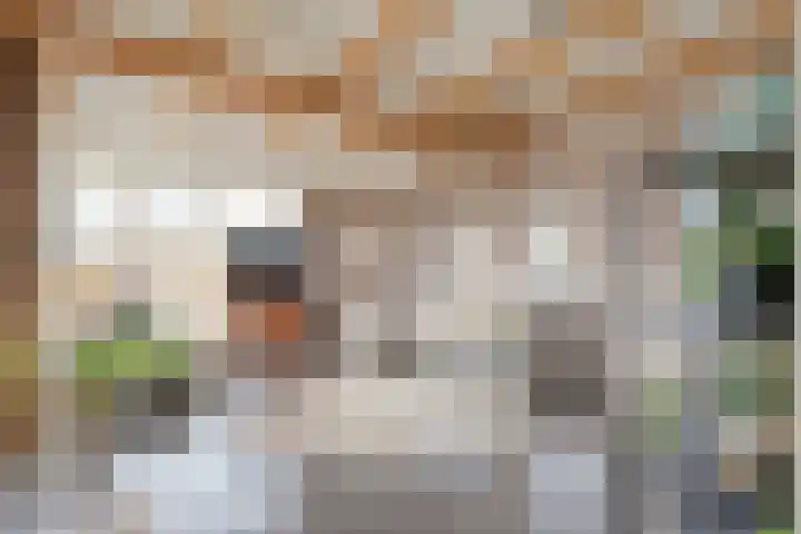 Koekanger Dwarsdijk 83 Koekange thumbnail 32