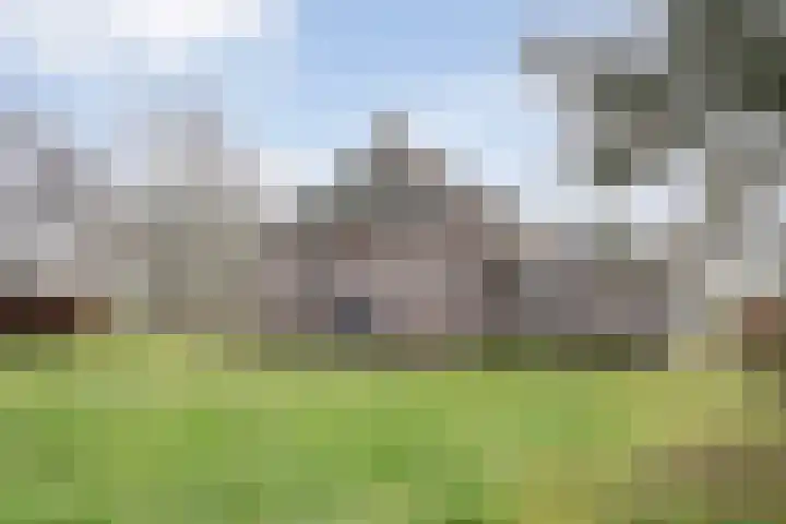 Koekanger Dwarsdijk 83 Koekange thumbnail 6
