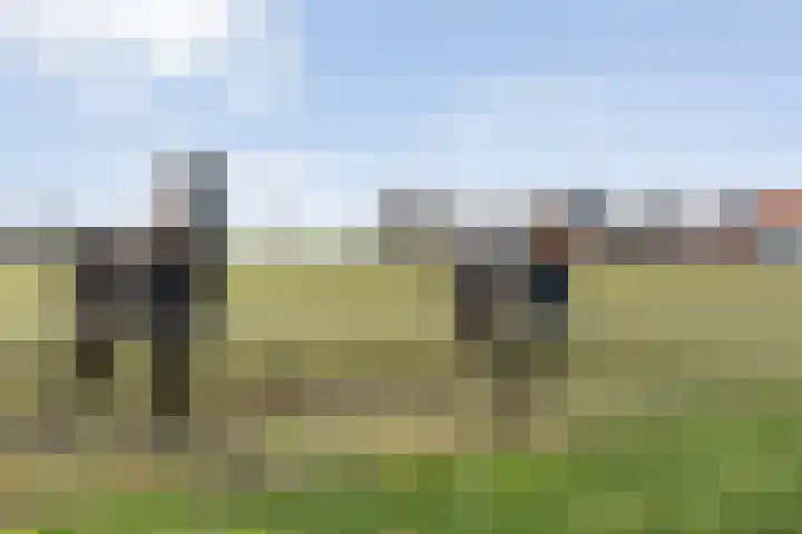Koekanger Dwarsdijk 83 Koekange thumbnail 64