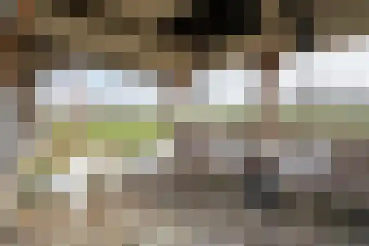 Koekanger Dwarsdijk 83 Koekange thumbnail 70