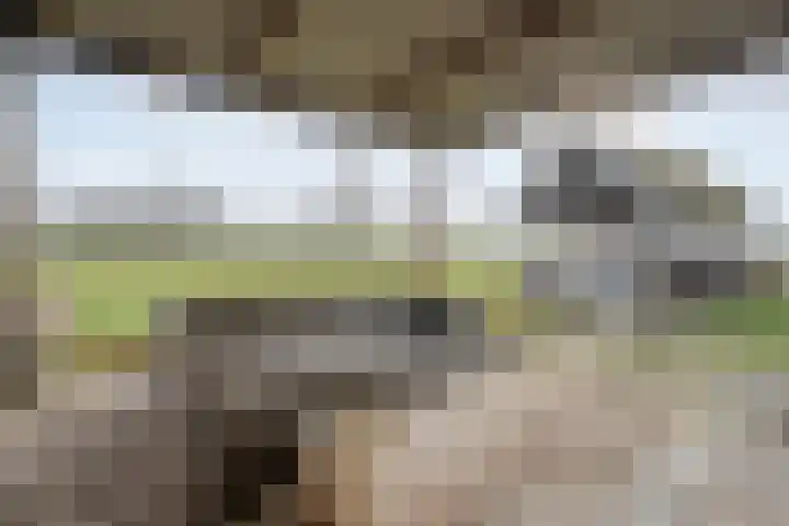 Koekanger Dwarsdijk 83 Koekange thumbnail 73