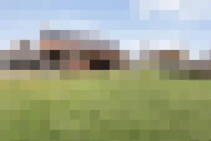 Koekanger Dwarsdijk 83 Koekange thumbnail 75