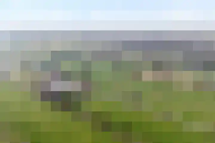 Koekanger Dwarsdijk 83 Koekange thumbnail 76